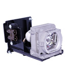 Mitsubishi LTOHVLTHC4900LPPUSH Ushio FP Lamps with Housing