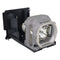 Mitsubishi LTOHVLTXL650LPPUSH Ushio FP Lamps with Housing