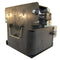 Mitsubishi LTOHVLTXD3200LPPUSH Ushio FP Lamps with Housing