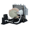 LG LTPRCOV31822701PUSH