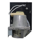 NEC UHPLT2NP19LP Philips FP Lamps with Housing