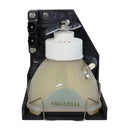 Toshiba LTOHTLPLX10PUSH Ushio FP Lamps with Housing