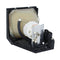 Toshiba LTOHTLPLX10PUSH Ushio FP Lamps with Housing