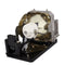 Toshiba LTOHTLPLW28GPUSH Ushio FP Lamps with Housing