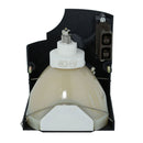 Infocus LTOHSPLAMPLP770PUSH Ushio FP Lamps with Housing