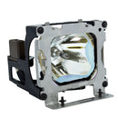 Liesegang LTOHZU0265022010PUSH Ushio FP Lamps with Housing