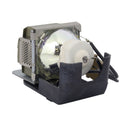 Viewsonic LTOHRLC030PUSH Ushio FP Lamps with Housing