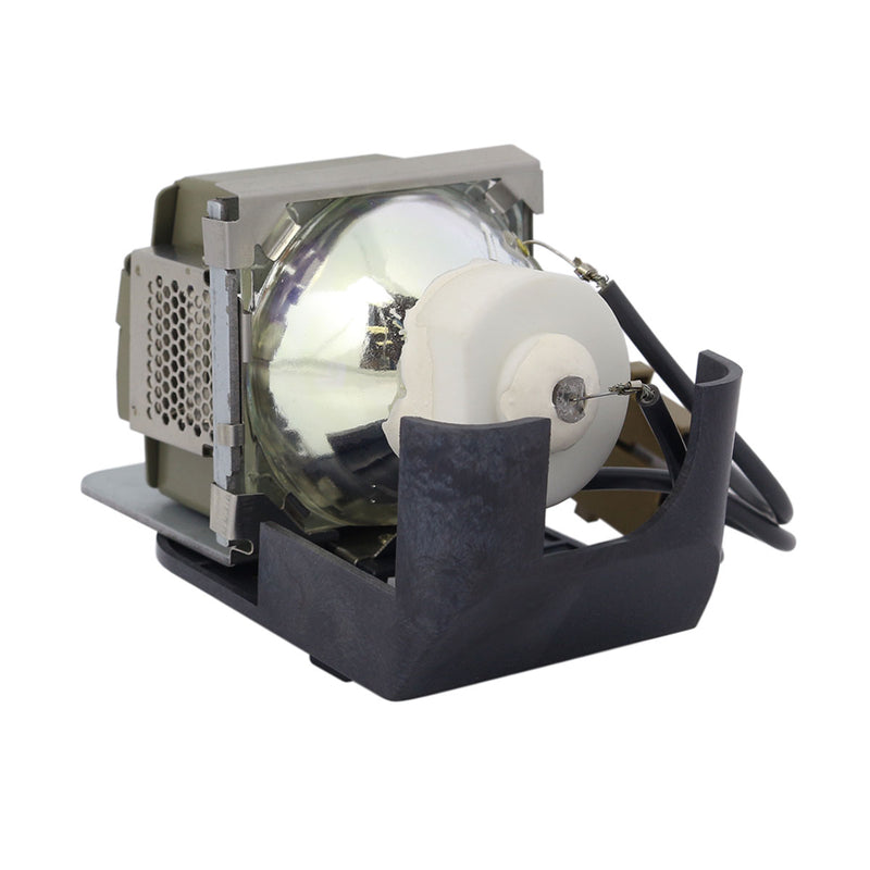 Viewsonic LTOHRLC030PUSH Ushio FP Lamps with Housing