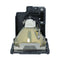 Panasonic LTOHETSLMP109PUSH Ushio FP Lamps with Housing