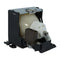 Sony LTOHLMPP200PUSH Ushio FP Lamps with Housing