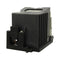 Toshiba LTOHTLPLW23PUSH Ushio FP Lamps with Housing