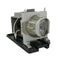NEC UHPLT2NP24LP Philips FP Lamps with Housing