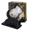 Optoma LTOHSP6180Y01001PUSH Ushio FP Lamps with Housing