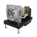 NEC UHPLT2NP25LP Philips FP Lamps with Housing