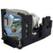 Mitsubishi LTOHVLTXL1LPPUSH Ushio FP Lamps with Housing