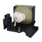 Mitsubishi LTOHVLTXL1LPPUSH Ushio FP Lamps with Housing